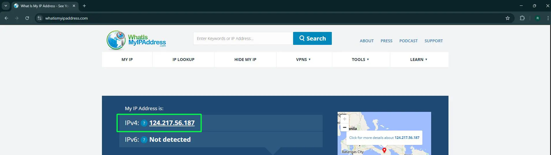 The public IP address appears on screen right away